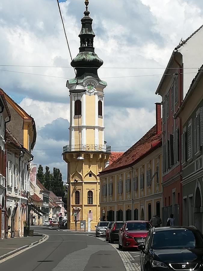 City Appartement Bad Radkersburg Buitenkant foto